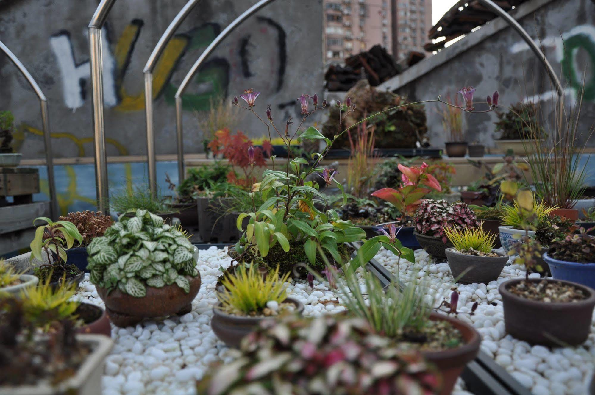 Shanghai Le Tour Traveler'S Rest Youth Hostel מראה חיצוני תמונה